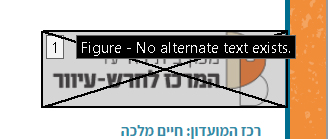 תמונה לאחר שהוגדרה לסדר קריאה - ללא טקסט אלטרניבי